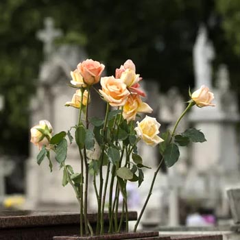 Благоустройство